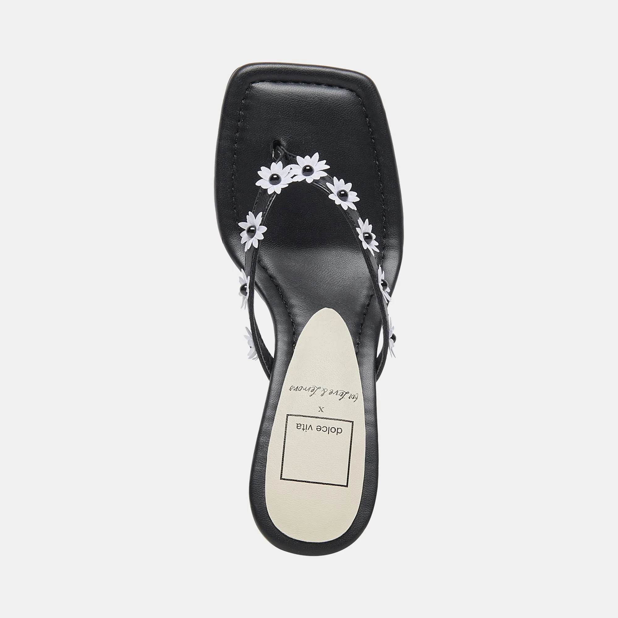 DAPHNE HEELS BLACK STELLA Dolce Vita