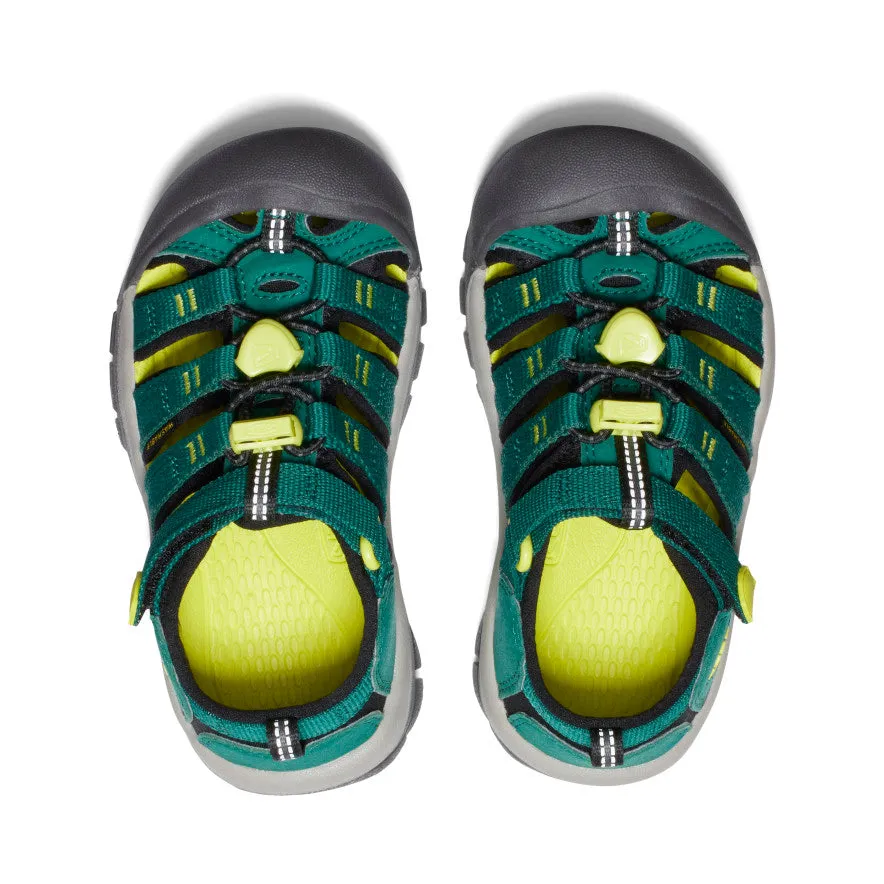 Little Kids' Newport H2  |  Aventurine/Evening Primrose KEEN