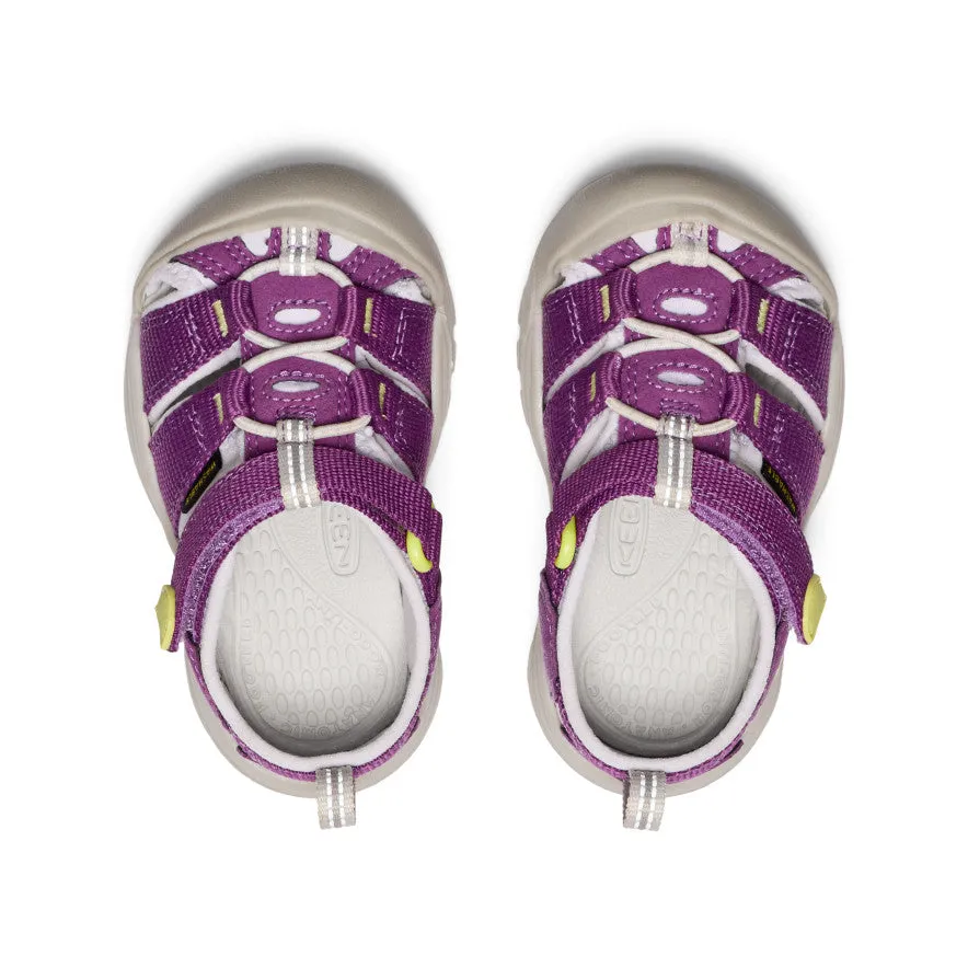 Toddlers' Newport H2  |  Charisma/Daiquiri Green KEEN