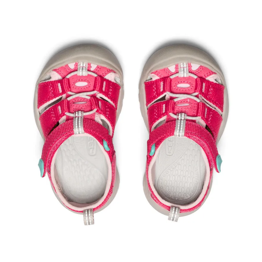 Toddlers' Newport H2  |  Raspberry/Giggle Pink KEEN
