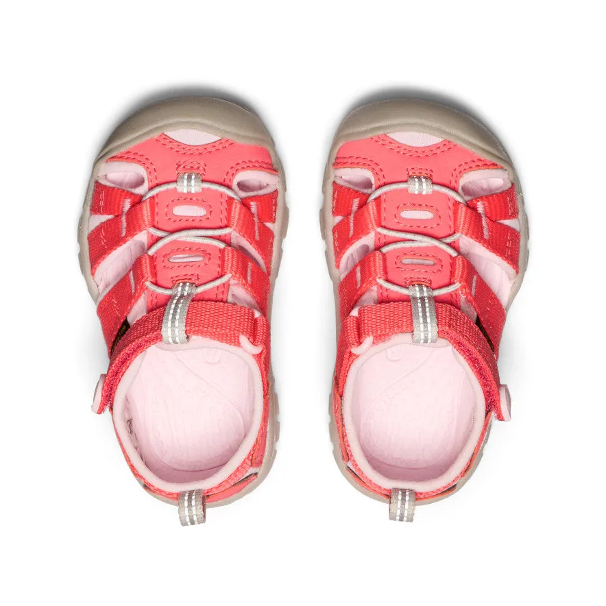 Toddlers' Seacamp II CNX  |  Dubarry/Giggle Pink KEEN